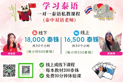 一对一泰语课程包（用中文教导）